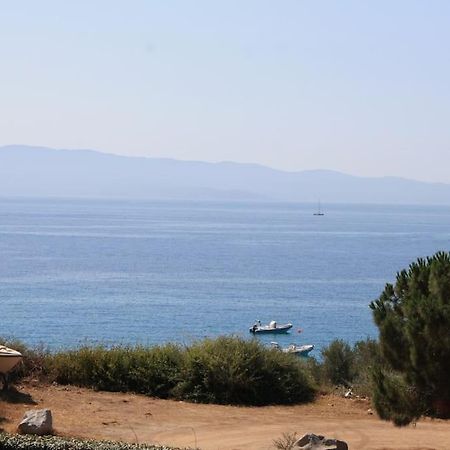 F2 Vue Mer Dans Residence Avec Piscine Ajaccio  Extérieur photo