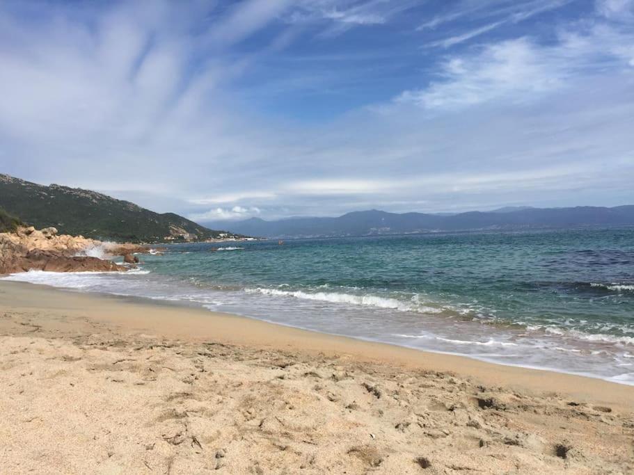 F2 Vue Mer Dans Residence Avec Piscine Ajaccio  Extérieur photo